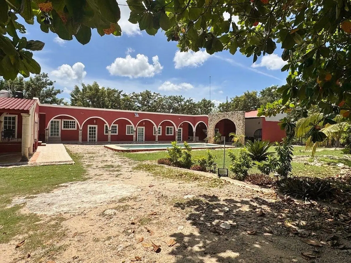Sotavento Farmfinca Sotavento — foto 2