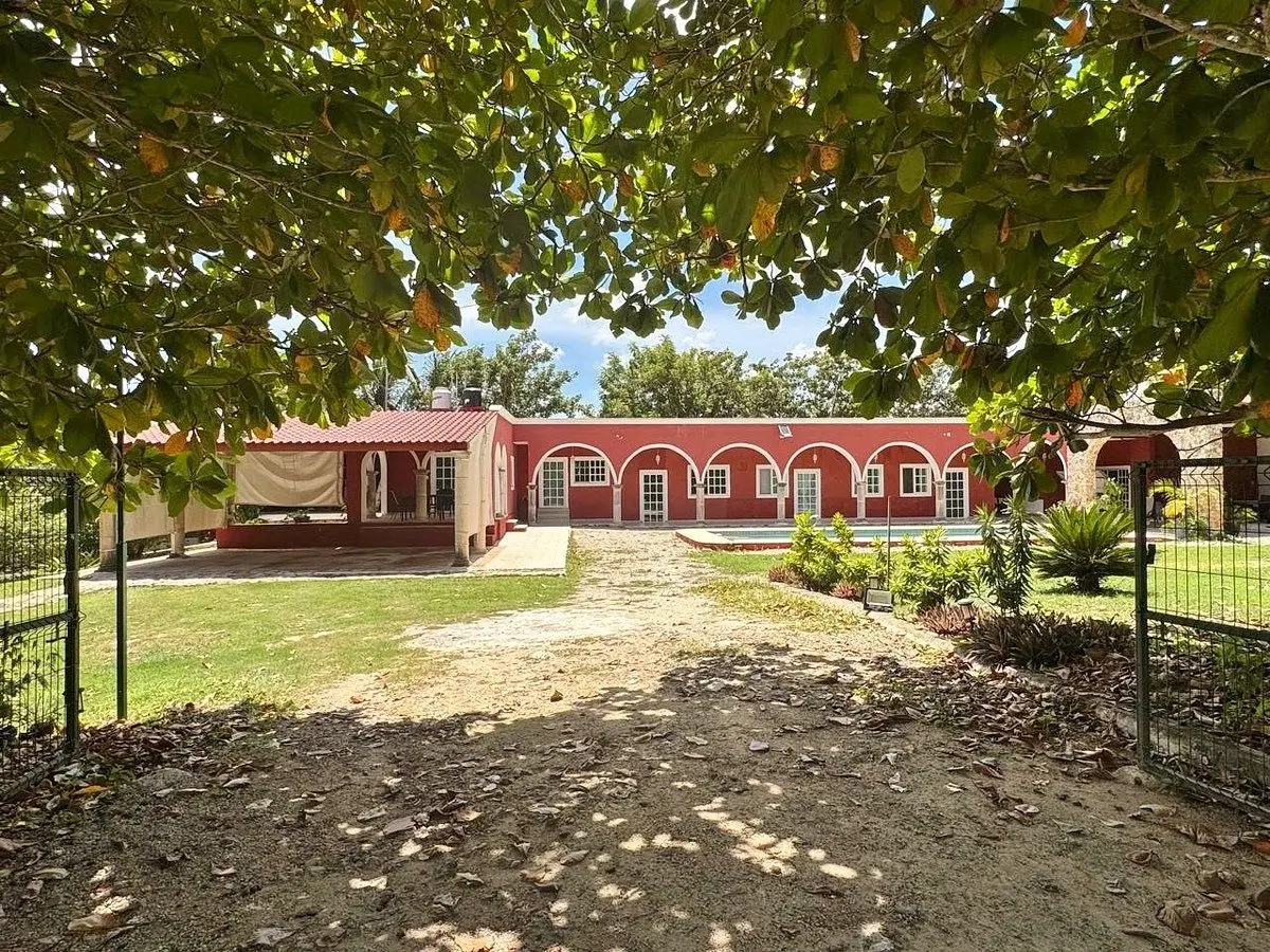 Sotavento Farmfinca Sotavento — foto 3