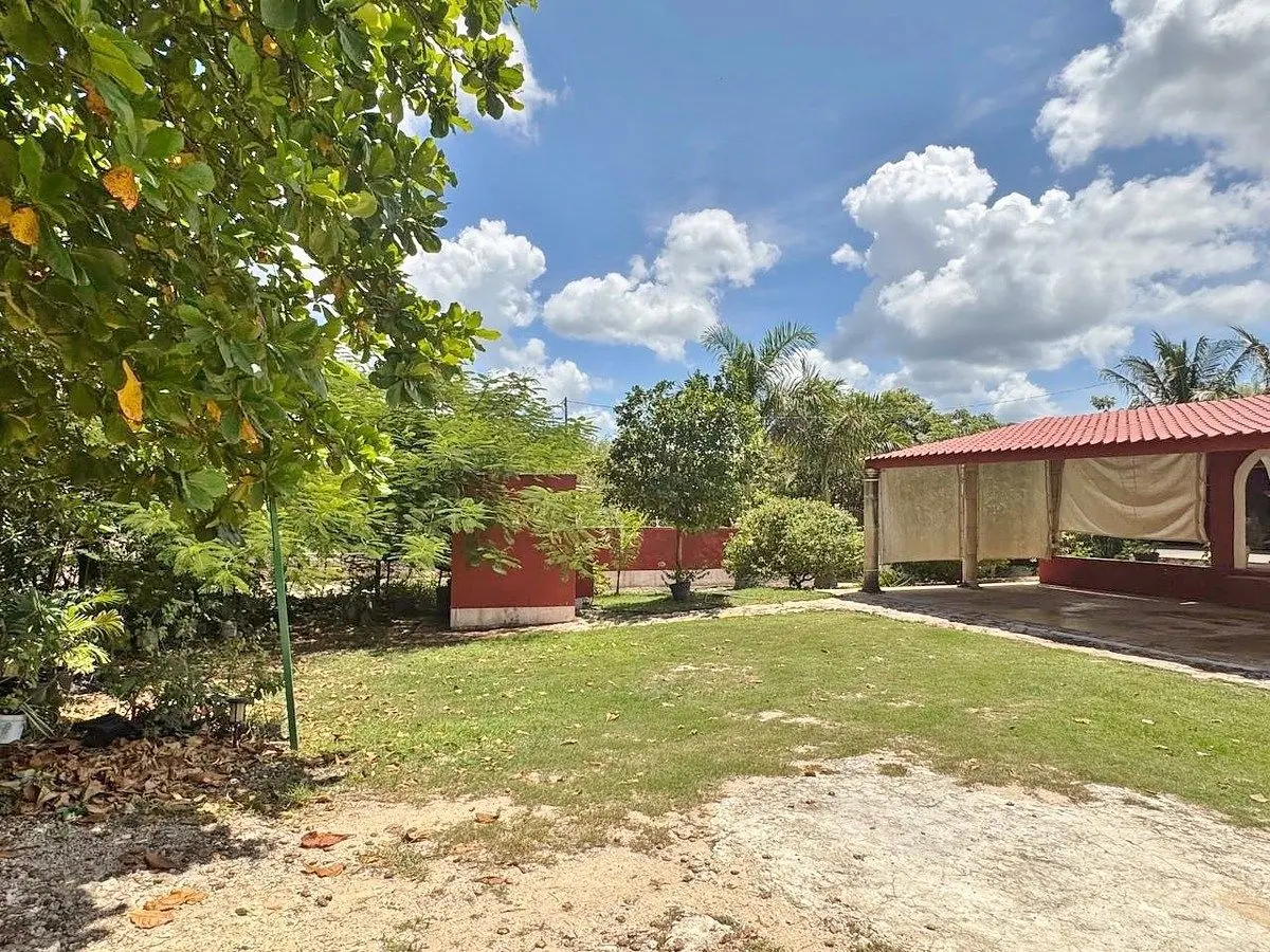 Sotavento Farmfinca Sotavento — foto 4