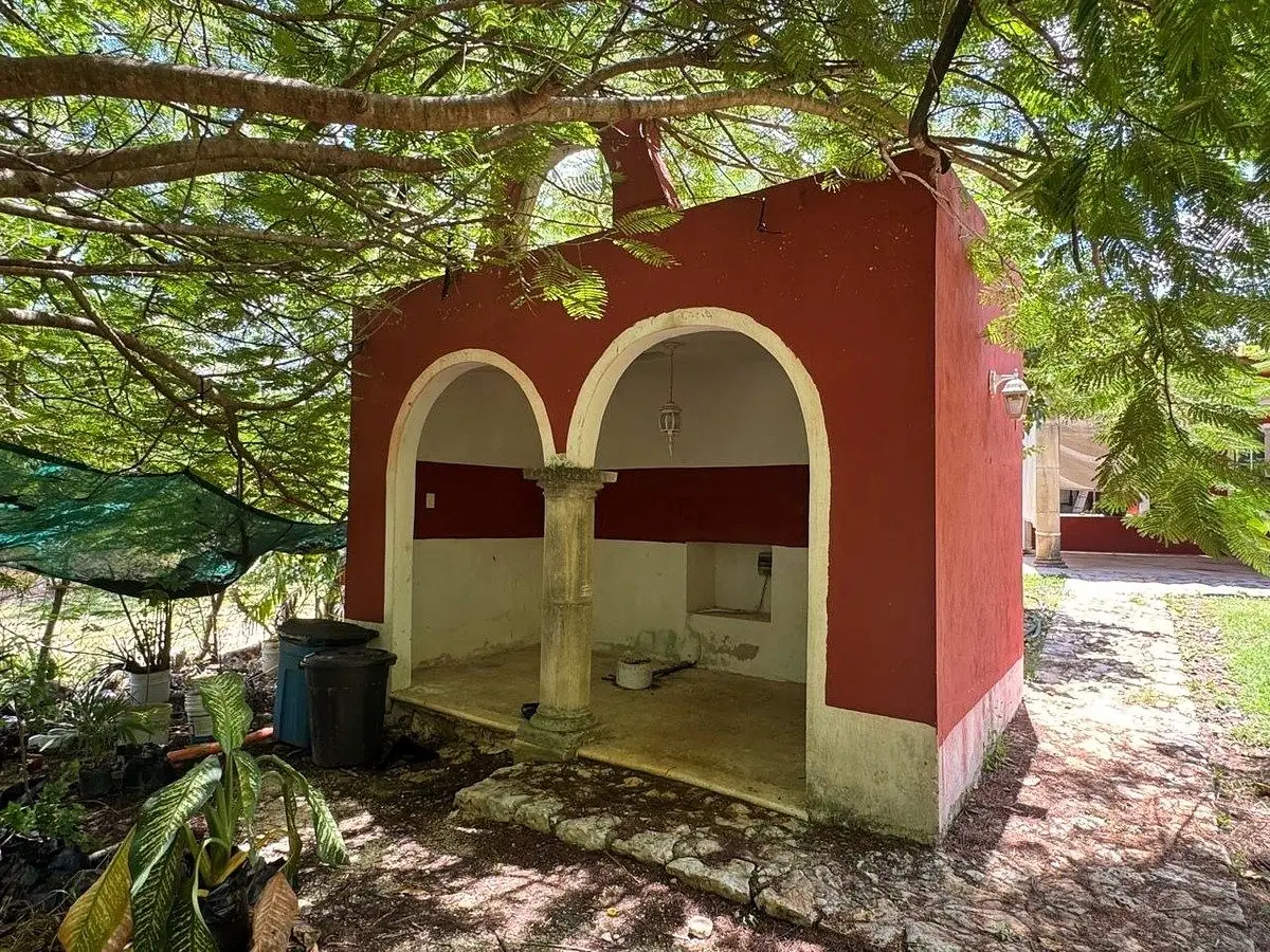 Sotavento Farmfinca Sotavento — foto 5
