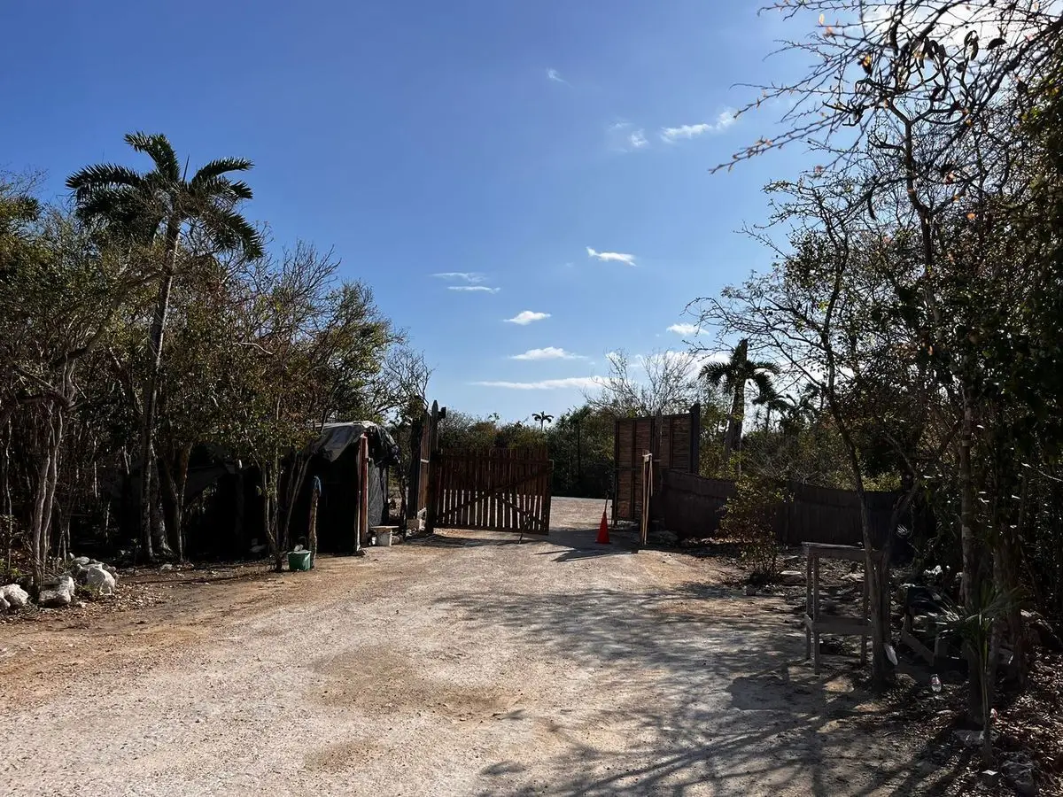 Terreno residencial en Tulum — foto 3