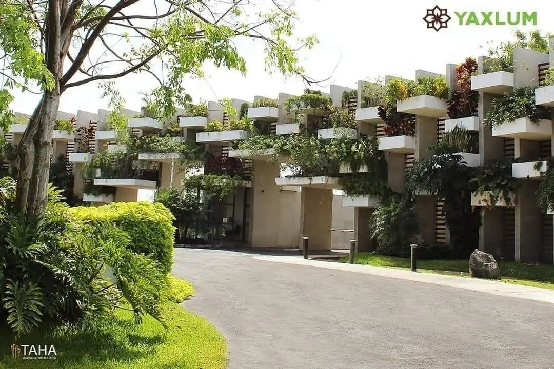 Lote en venta ubicación en privada Yaaxlum — foto 3