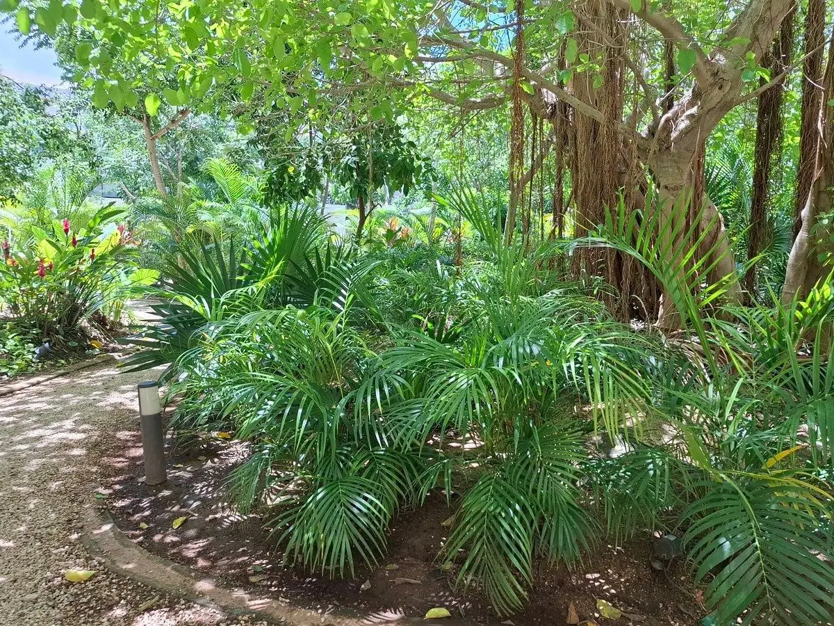 Departamento de 1 Recámara en 2 Niveles con Bodega | Temozón Park, Mérida — foto 4