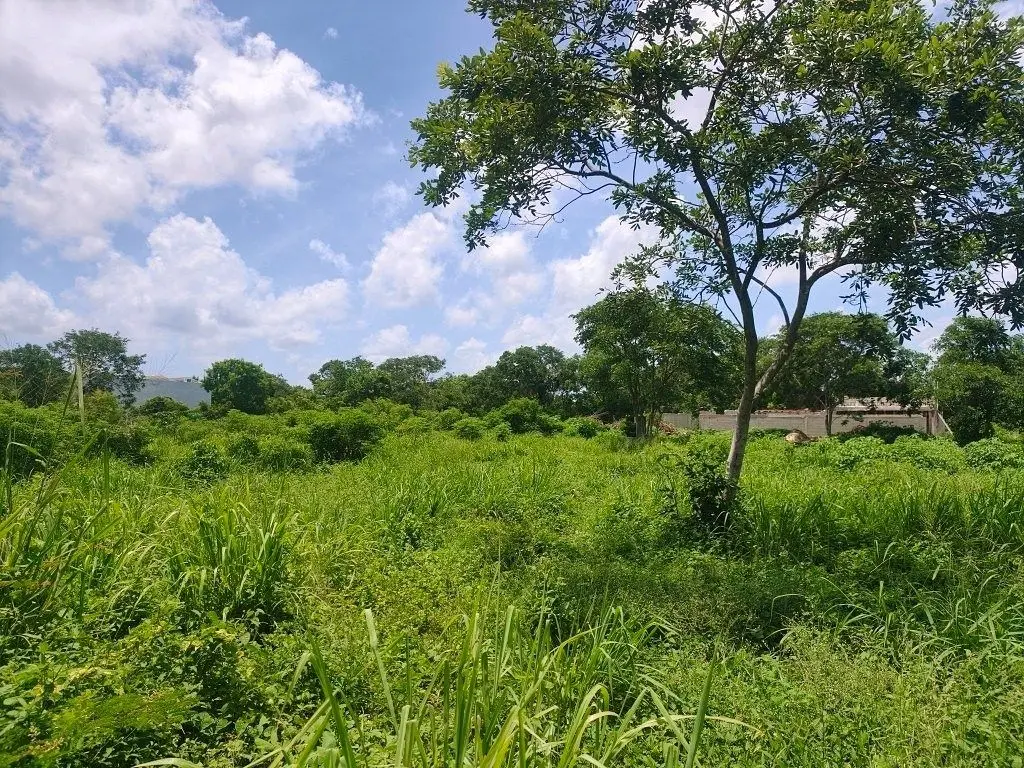 Terrenos Residenciales de 360 m² en Conkal | 9m x 40m | Excelente Ubicación — foto 4
