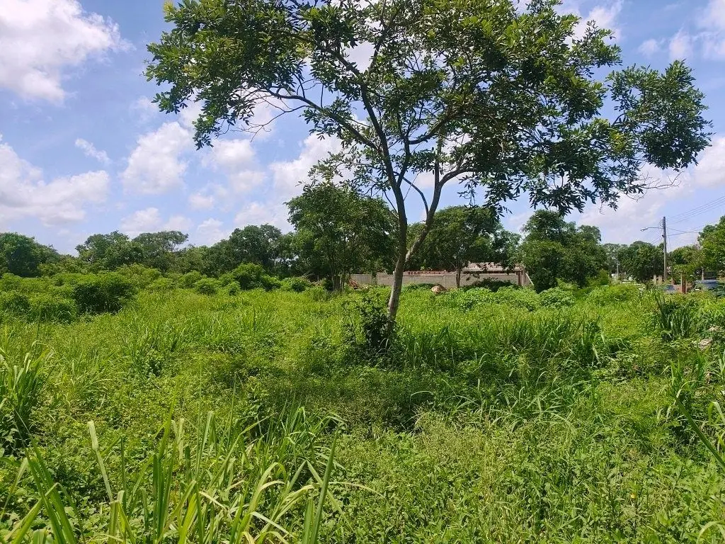 Terrenos Residenciales de 360 m² en Conkal | 9m x 40m | Excelente Ubicación — foto 5