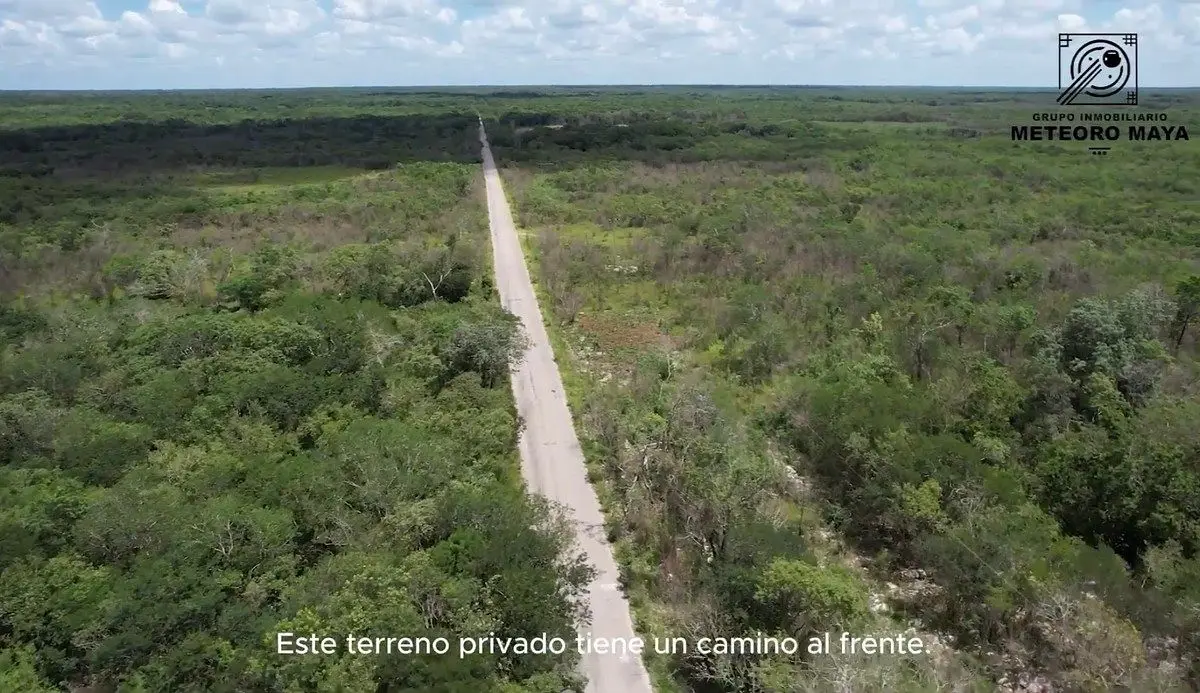 Terreno de 376 hectáreas sobre carretera Yaxcabá