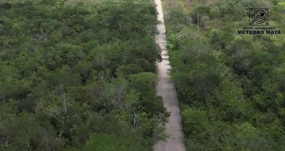 Terreno de 376 hectáreas sobre carretera Yaxcabá — foto 4