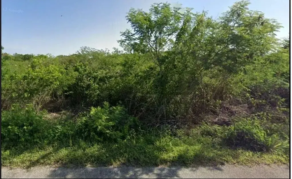 Terreno en Venta de 1 Hectárea en Sierra Papacal, Mérida | Propiedad Privada — foto 3