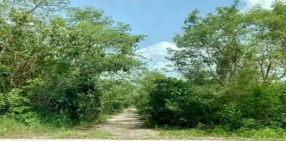 Terreno en Venta de 1 Hectárea en Sierra Papacal, Mérida | Propiedad Privada — foto 5